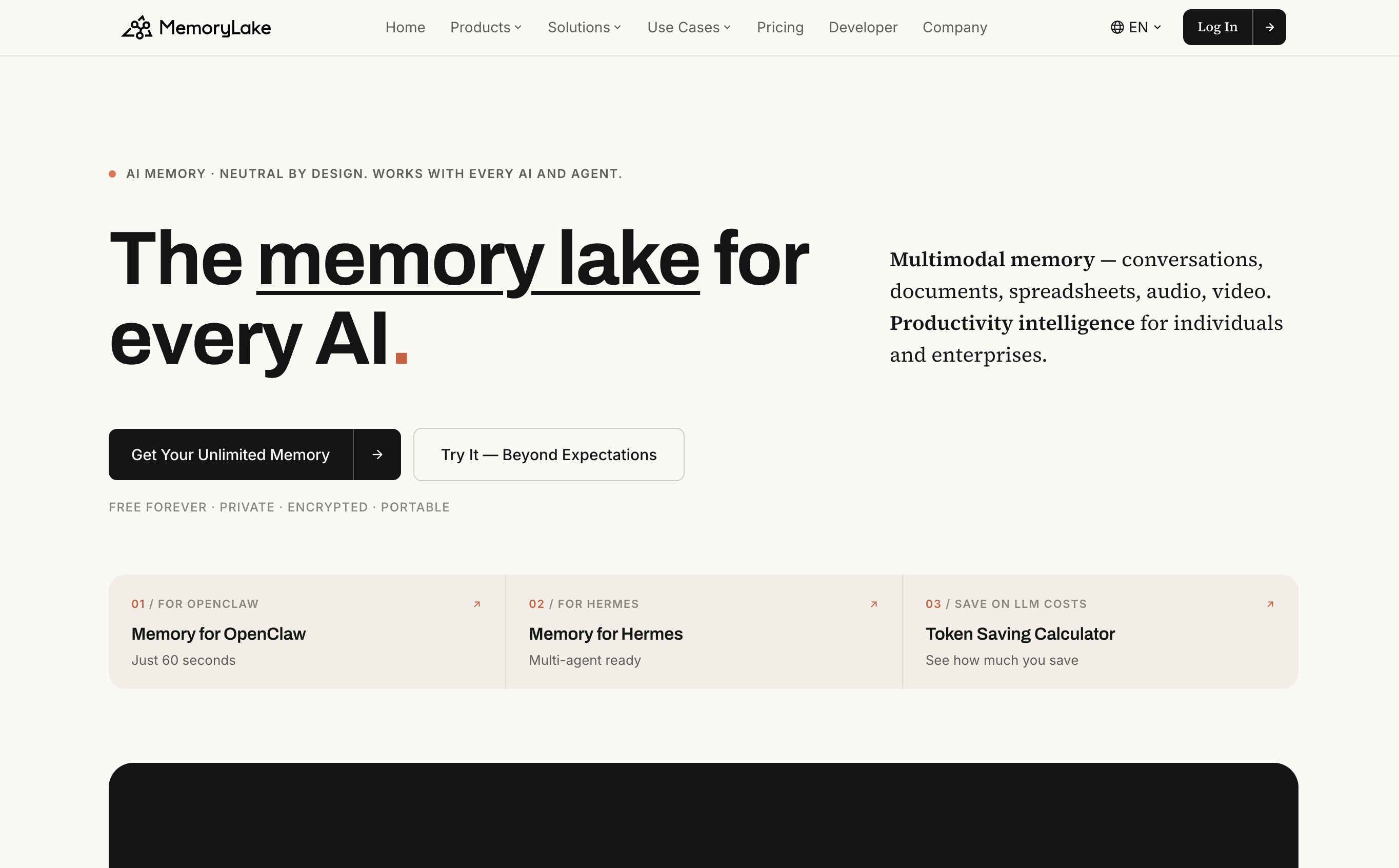 Interfaz de la herramienta de memoria MemoryLake